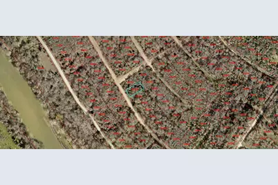 258 Kahana Lane, Bastrop, TX 78602 - Photo 3