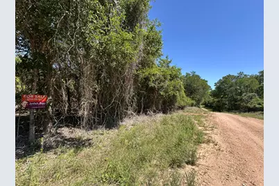 258 Kahana Lane, Bastrop, TX 78602 - Photo 5