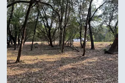21212 Santa Rosa Avenue, Lago Vista, TX 78645 - Photo 11