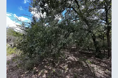 1200 Thompson Rd #Lot 3 Road, Dale, TX 78616 - Photo 9