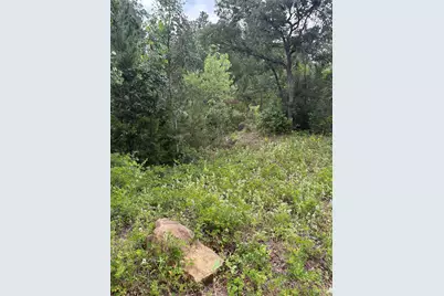 Tbd Kaena Lane, Bastrop, TX 78602 - Photo 1
