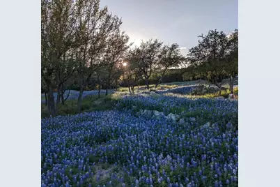 4115 Noon Day Cove, Spicewood, TX 78669 - Photo 37
