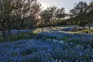 4115 Noon Day Cove, Spicewood, TX 78669 - Photo 37