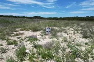 Lot 55 Serenity Dr, Bertram, TX 78605 - Photo 3
