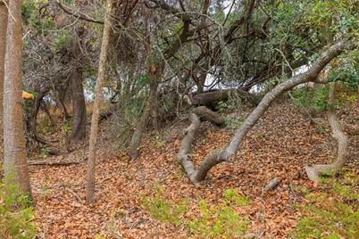 0 Ranch Road 965, Fredericksburg, TX 78624 - Photo 11