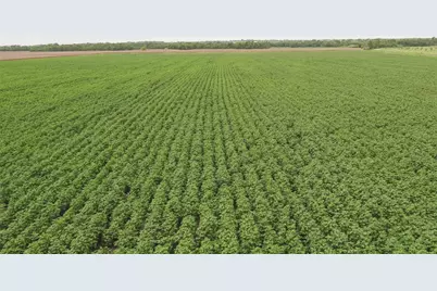 108 Cr 240A, Cameron, TX 76520 - Photo 11