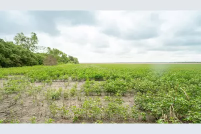 108 Cr 240A, Cameron, TX 76520 - Photo 17