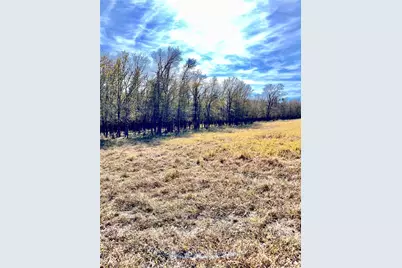 674 County Road 309, Rockdale, TX 76567 - Photo 11