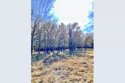 674 County Road 309, Rockdale, TX 76567 - Photo 23