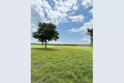 674 County Road 309, Rockdale, TX 76567 - Photo 5