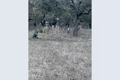 Tbd Winnie Smith Road, Round Mountain, TX 78663 - Photo 27