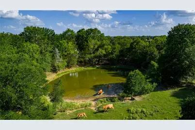 Tbd Fm 2104, Smithville, TX 78957 - Photo 1