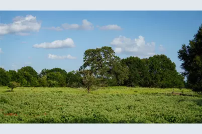 Tbd Fm 2104, Smithville, TX 78957 - Photo 15