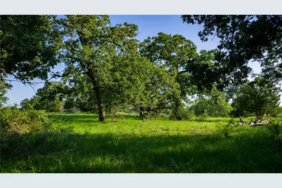 Tbd Fm 2104, Smithville, TX 78957 - Photo 17