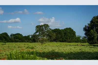 Tbd Fm 2104, Smithville, TX 78957 - Photo 7