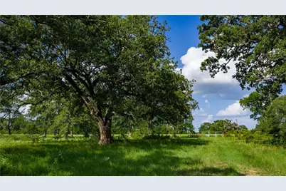 Tbd Fm 2104, Smithville, TX 78957 - Photo 9