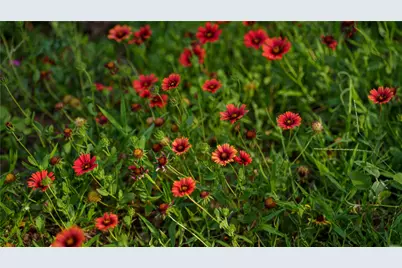 Tbd Fm 2104, Smithville, TX 78957 - Photo 13