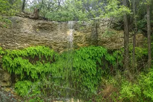 12516 Wire Rd, Leander, TX 78641 - Photo 5