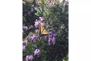 12516 Wire Rd, Leander, TX 78641 - Photo 35