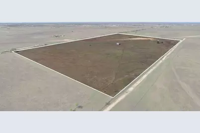 46.248 Acres County Road 211, Florence, TX 76527 - Photo 5