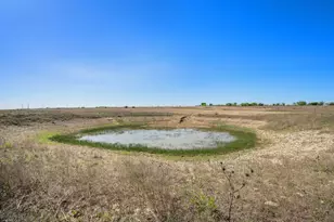 46 248 Acres County Road 211, Florence, TX 76527 - Photo 23