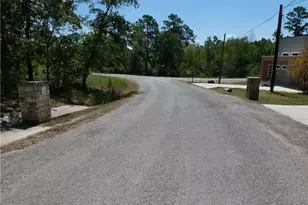 177 Mamalu Dr, Bastrop, TX 78602 - Photo 29