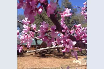 4032 Ranch Road 3232, Johnson City, TX 78636 - Photo 37