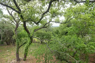 11513 Juniper Ridge Dr, Austin, TX 78759 - Photo 19