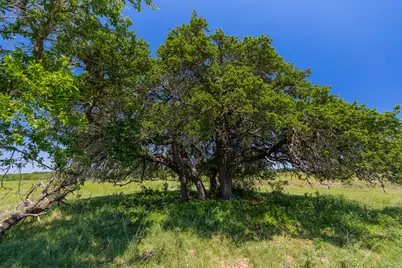 [Address not provided], Purmela, TX 76566 - Photo 5