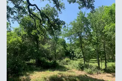 266 Colovista Parkway, Bastrop, TX 78602 - Photo 5