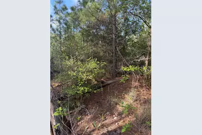 Lot 1384 Pahihi Drive, Bastrop, TX 78602 - Photo 1