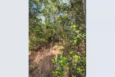 Lot 1384 Pahihi Drive, Bastrop, TX 78602 - Photo 3