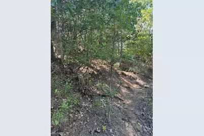 Lot 1384 Pahihi Drive, Bastrop, TX 78602 - Photo 5