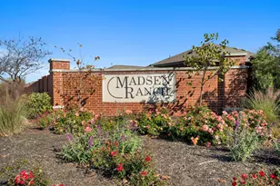 1232 Matt Ln, Round Rock, TX 78665 - Photo 29