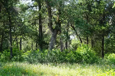 Tbd County Road 322, Rockdale, TX 76567 - Photo 13