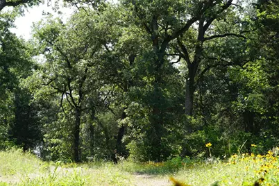 Tbd County Road 322, Rockdale, TX 76567 - Photo 9