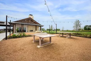 20021 Cornyn Ln, Manor, TX 78653 - Photo 19