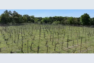 18059 Fm 1826 Road, Driftwood, TX 78619 - Photo 11