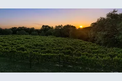 18059 Fm 1826 Road, Driftwood, TX 78619 - Photo 39