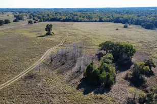 196 Brinkley Ln, Elgin, TX 78621 - Photo 1
