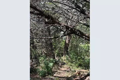 18304 Lake Oaks Drive, Jonestown, TX 78645 - Photo 5