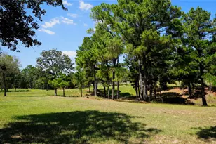 2438 Fm 535 Hwy, Rosanky, TX 78953 - Photo 7