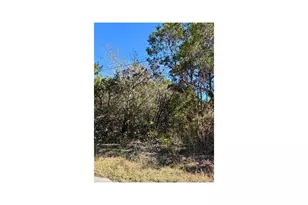 7401 Williamson Creek Drive, Austin, TX 78736 - Photo 1