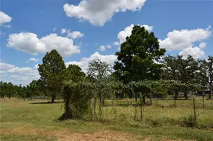 278 Winfield Thicket Rd, Bastrop, TX 78602 - Photo 27