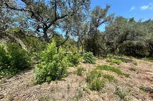 18310 Austin Dr, Jonestown, TX 78645 - Photo 5