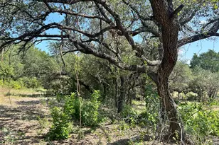 18310 Austin Dr, Jonestown, TX 78645 - Photo 1