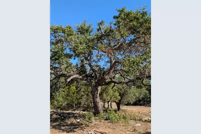 170 Brownson Lane, Driftwood, TX 78619 - Photo 13