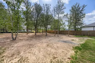 334 Nene Ln, Bastrop, TX 78602 - Photo 29