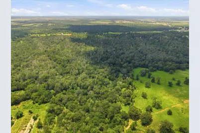 Tbd Fawn Ridge Road, Cedar Creek, TX 78612 - Photo 11