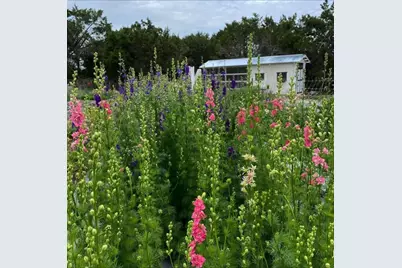 250 Kothmann Road, Dripping Springs, TX 78620 - Photo 39